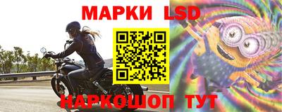 стафф Пенза