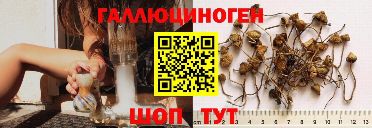 Саратов  Галлюциногенные грибы ЛСД  где купить   Вход с VPN 